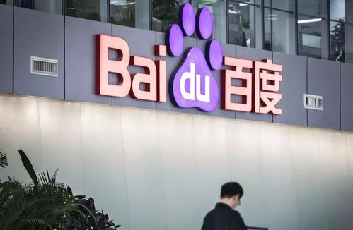 蜘蛛池:细致入微的全面解析